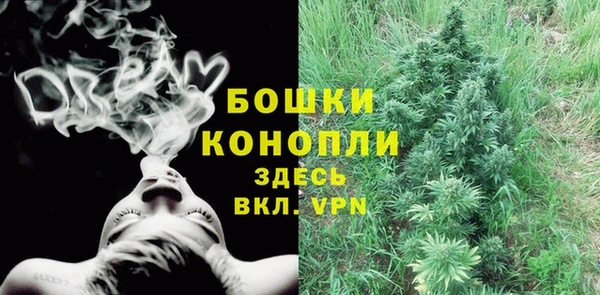 индика Ростов