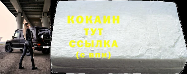 индика Ростов